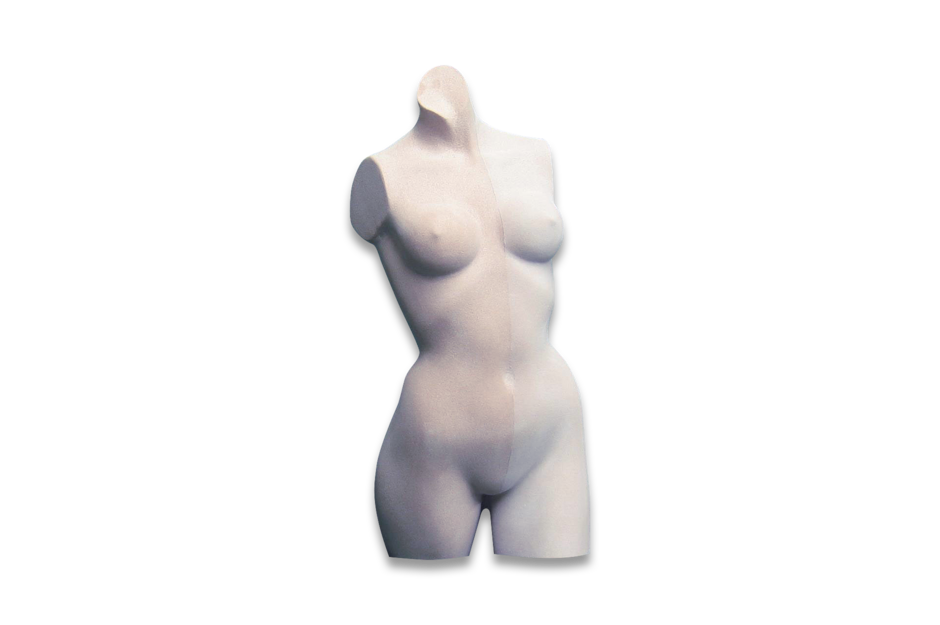 Torso